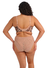 Load image into Gallery viewer, Lucie Stretch Plunge Bra - Wildcat