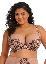 Load image into Gallery viewer, Lucie Stretch Plunge Bra - Wildcat