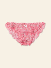 Load image into Gallery viewer, Knicker 3 Pack (Swiss Dot, Toile De Jouy, Cheri Blossom Pink Lemonade)