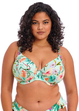 Load image into Gallery viewer, Elomi UW Plunge Bikini Top - Sunshine Cove