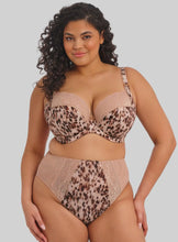 Load image into Gallery viewer, Lucie High Leg Brief - Wildcat