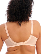 Load image into Gallery viewer, Elomi Molly UW Nursing Bra Cameo Rose