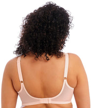 Load image into Gallery viewer, Elomi Matilda Black Plunge Bra Pearl Blush
