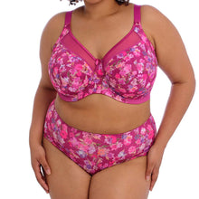 Load image into Gallery viewer, Goddess Kayla Brief GD6168