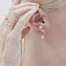 Load image into Gallery viewer, EVIE HOOPS Gold