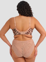 Load image into Gallery viewer, Lucie High Leg Brief - Wildcat
