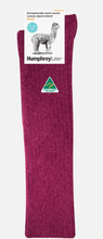 Load image into Gallery viewer, Alpaca Knee-High Sock Style 01H Berry
