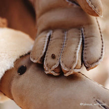 Load image into Gallery viewer, Apollo Bay Gloves Chestnut (Dark)

