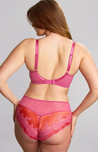 Load image into Gallery viewer, Clara Deep Brief - Pink Papaya
