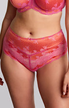 Load image into Gallery viewer, Clara Deep Brief - Pink Papaya
