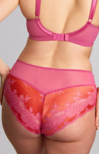 Load image into Gallery viewer, Clara Deep Brief - Pink Papaya
