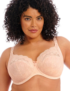 Elomi Molly UW Nursing Bra Cameo Rose