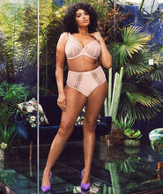 Load image into Gallery viewer, Elomi Matilda Black Plunge Bra Pearl Blush
