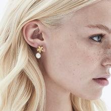 Load image into Gallery viewer, Belinda Pearl Earrings

