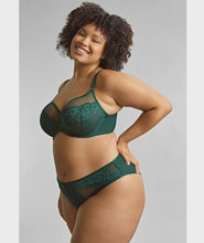 Load image into Gallery viewer, Josephine High Leg Brief - Forest Green
