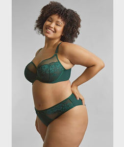 Josephine High Leg Brief - Forest Green