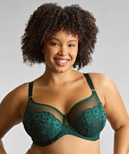 Load image into Gallery viewer, Josephine Full Cup Underwired Bra - Forest Green
