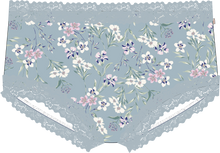 Load image into Gallery viewer, Parisienne® Cotton Full Brief Prarie Moon
