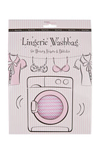 Load image into Gallery viewer, Lingerie Wash Bag
