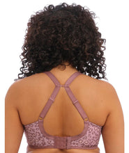 Load image into Gallery viewer, Elomi Energise Underwired Sports Bra - Dusky Leopard
